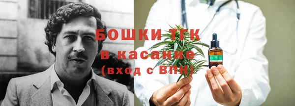 спайс Алзамай