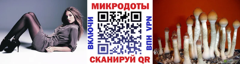 Псилоцибиновые грибы Magic Shrooms  где купить наркоту  Богданович 