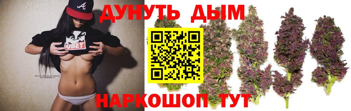 Бошки Шишки план Богданович
